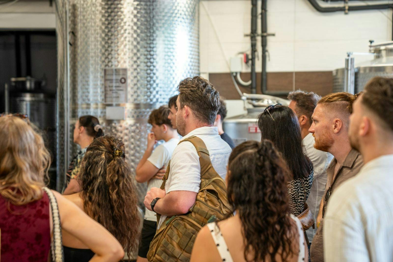 Calabrian vineyard tour with wine-tasting from Pizzo