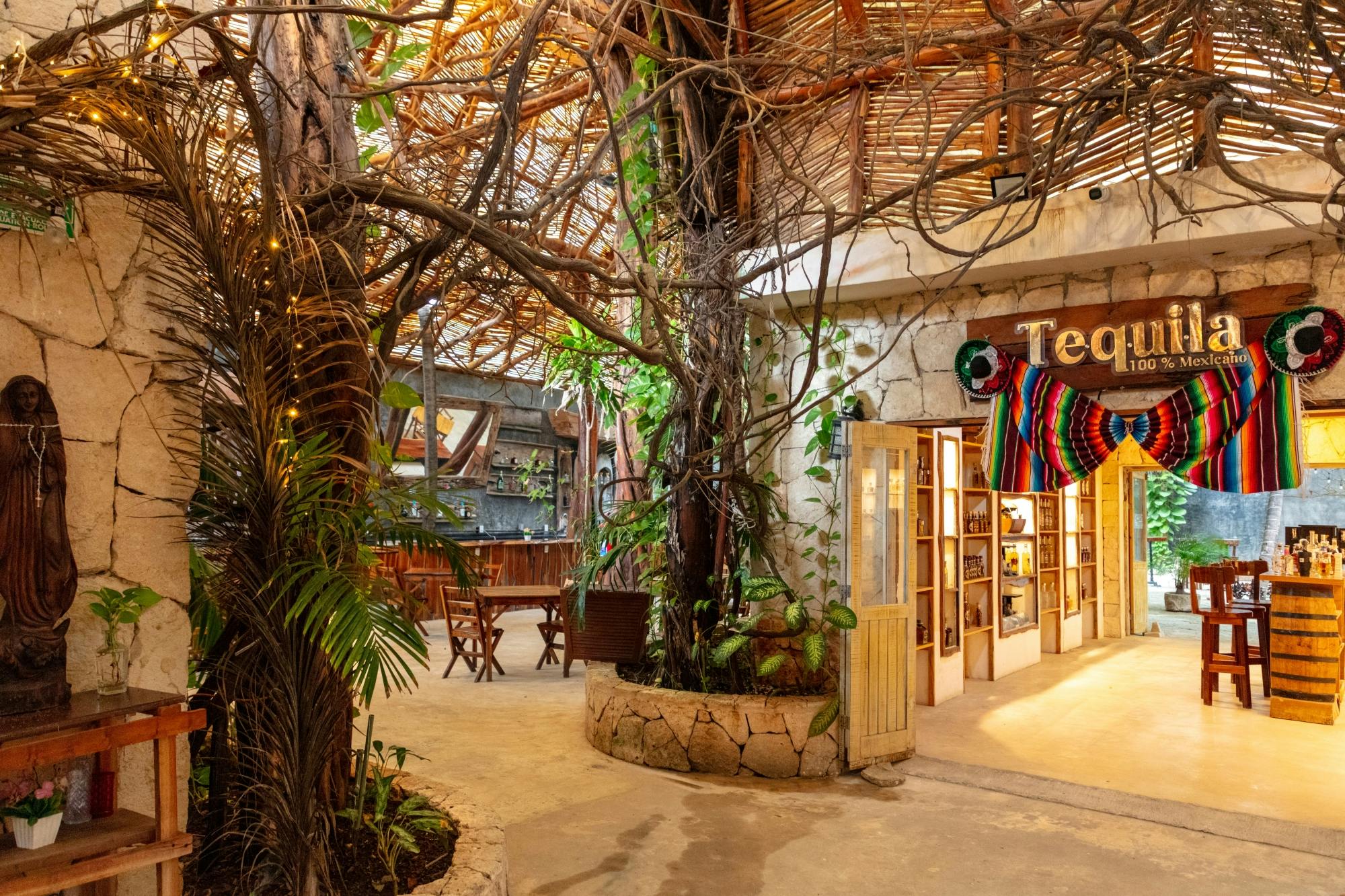 Taco tasters, tequila and shopping tour in Puerto Morelos