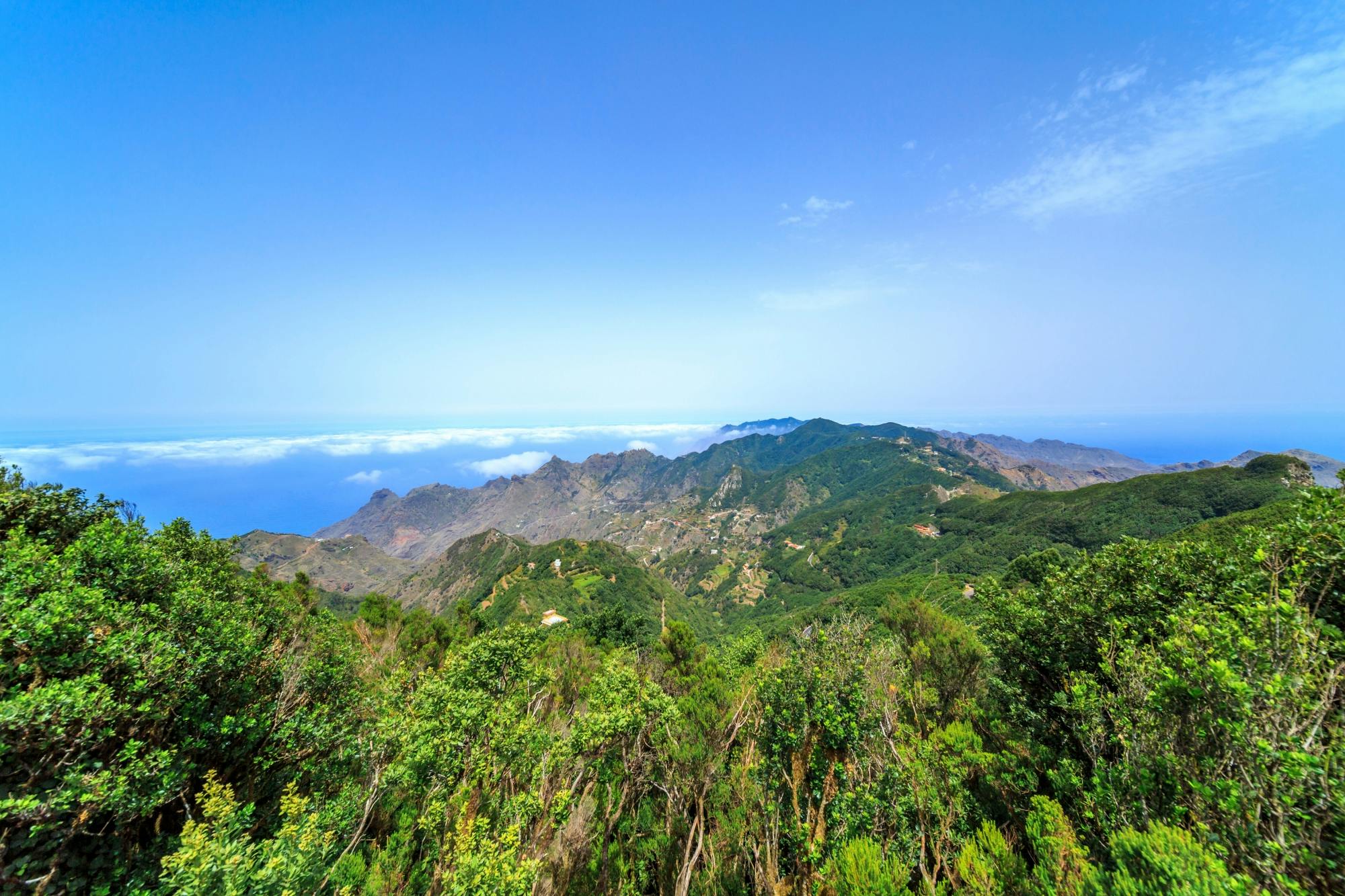 Tenerife tour with Anaga mountains and La Laguna with optional lunch
