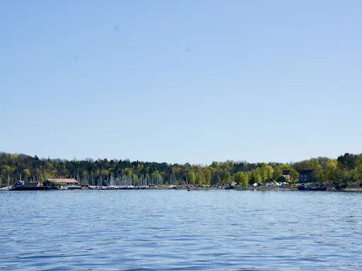 202606246a3bad98c4209.jpg