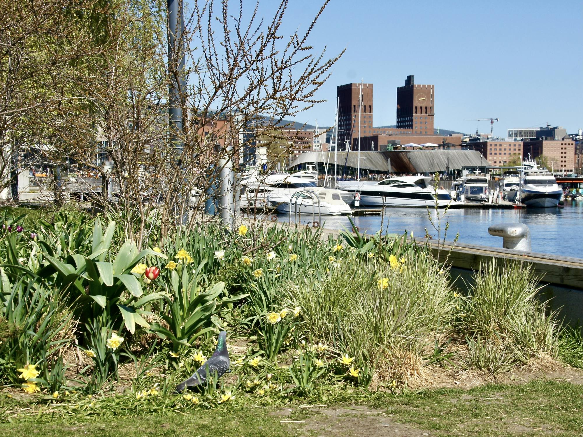 Wellness en fjordenleven rondleiding door Oslo