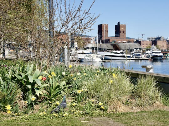 Wellness en fjordenleven rondleiding door Oslo