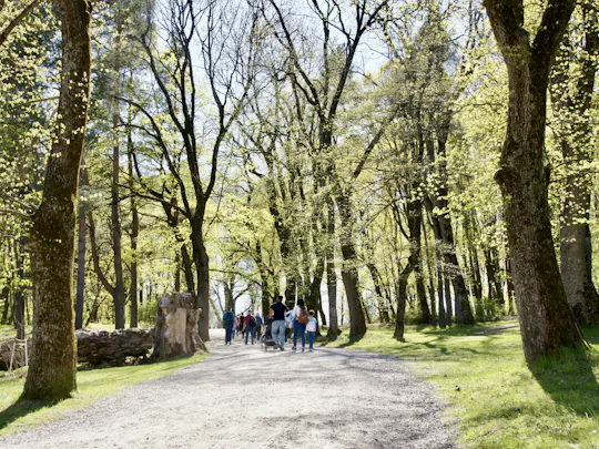Wycieczka z przewodnikiem: fiord i ślady przeszłości
