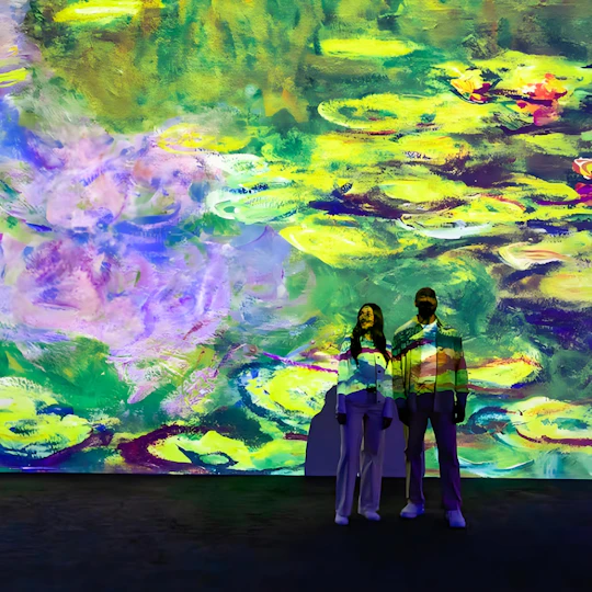 Entrance ticket to Monet: The Immersive Experience in Toronto