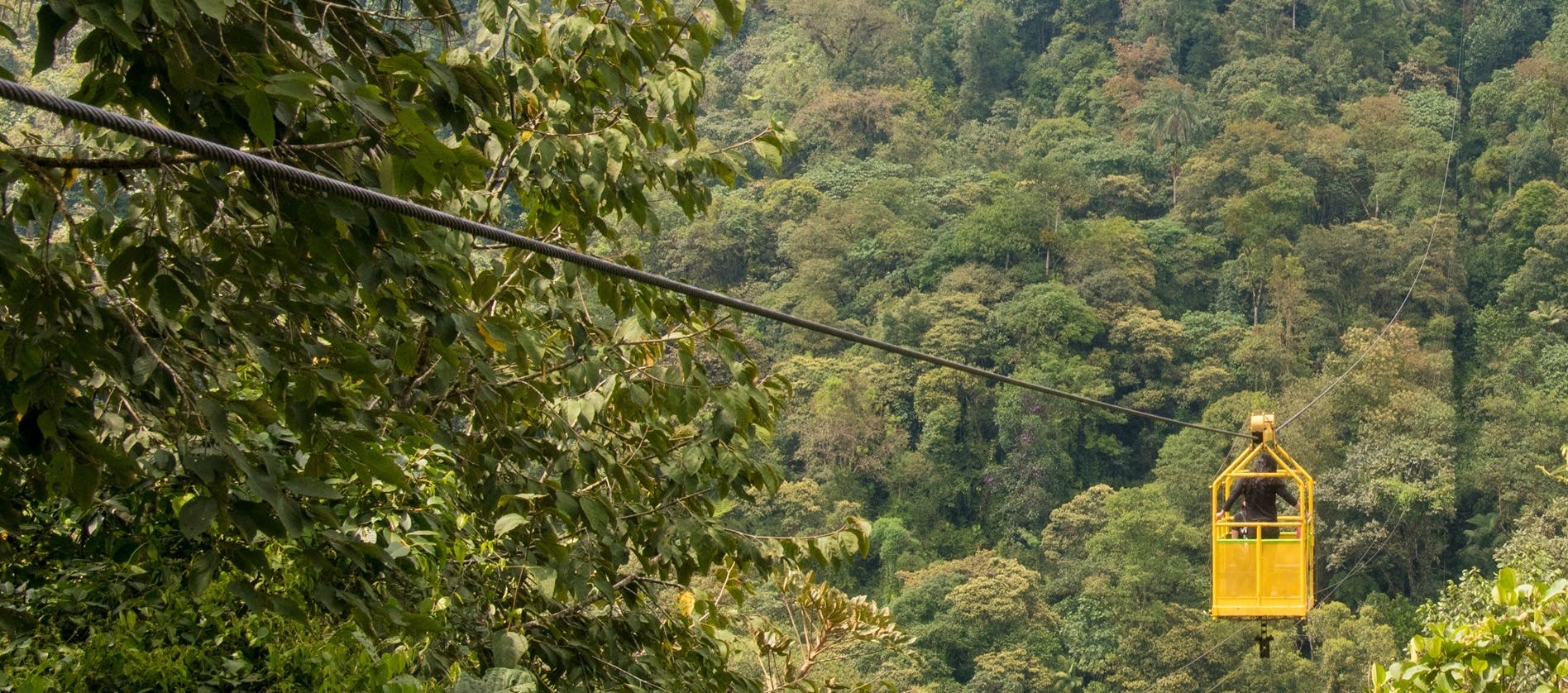 Mindo full-day tour with butterfly garden and cloud forest