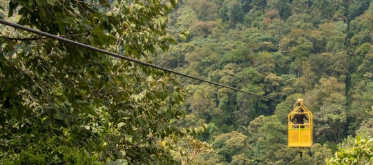 Mindo full-day tour with butterfly garden and cloud forest