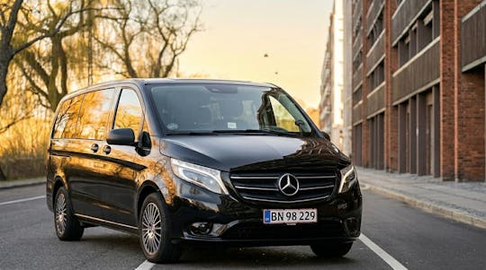 Visita turística privada por Copenhague durante una escala, con salida desde el aeropuerto