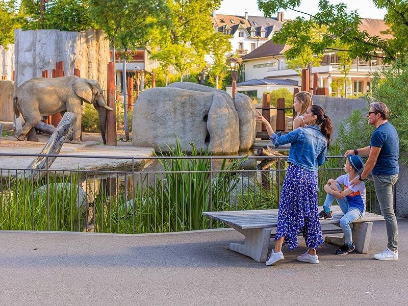 Aventure interactive sous forme de casse-tête au zoo de Bâle, billets compris