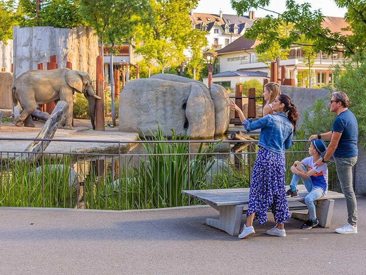 Interactief puzzelavontuur in de dierentuin van Bazel, inclusief kaartjes