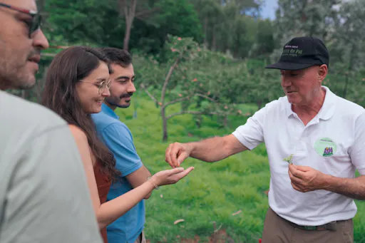Madeira cultural tour through villages, tradition and local life