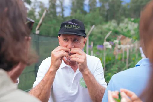Madeira cultural tour through villages, tradition and local life