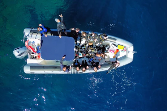 Tavolara protected area snorkelling experience from San Teodoro