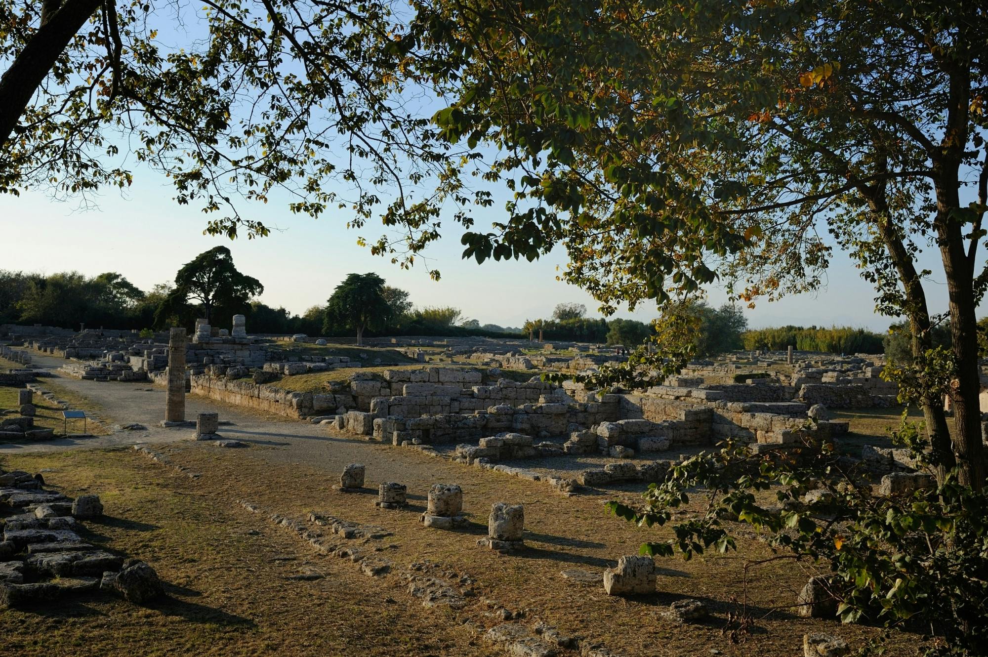 Visita panorâmica a Capaccio Paestum e ao Parque Nacional do Cilento