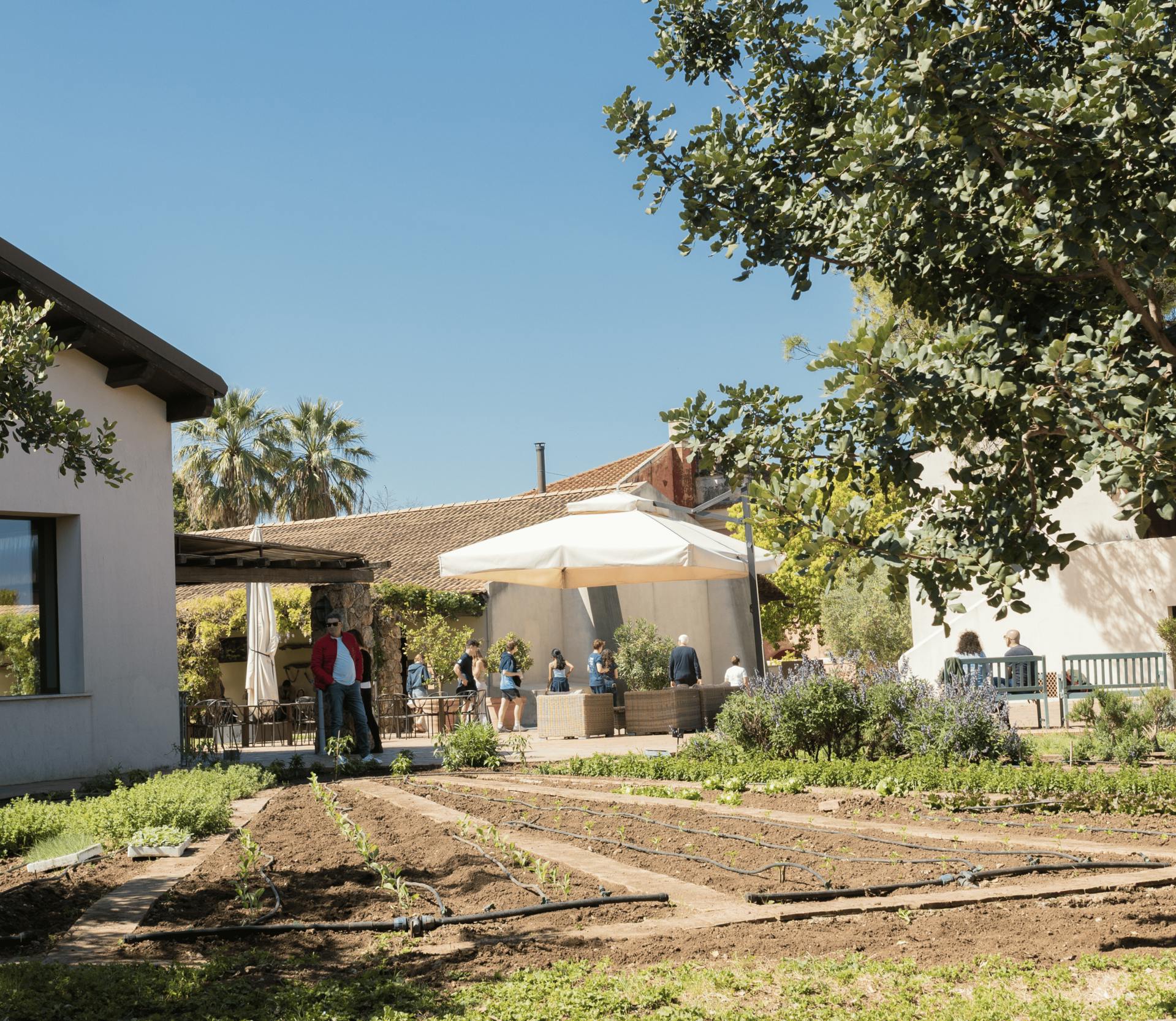 Excursão para conhecer a mozzarella de búfala com almoço em Paestum