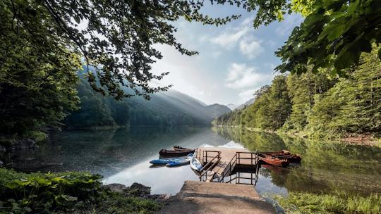 Lake Skadar and Biogradska Gora guided excursion from Kotor