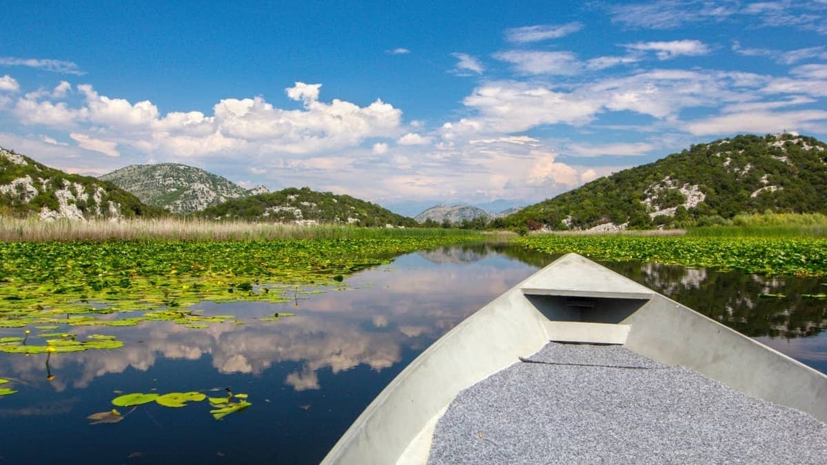 Lake Skadar and Biogradska Gora private tour from Kotor