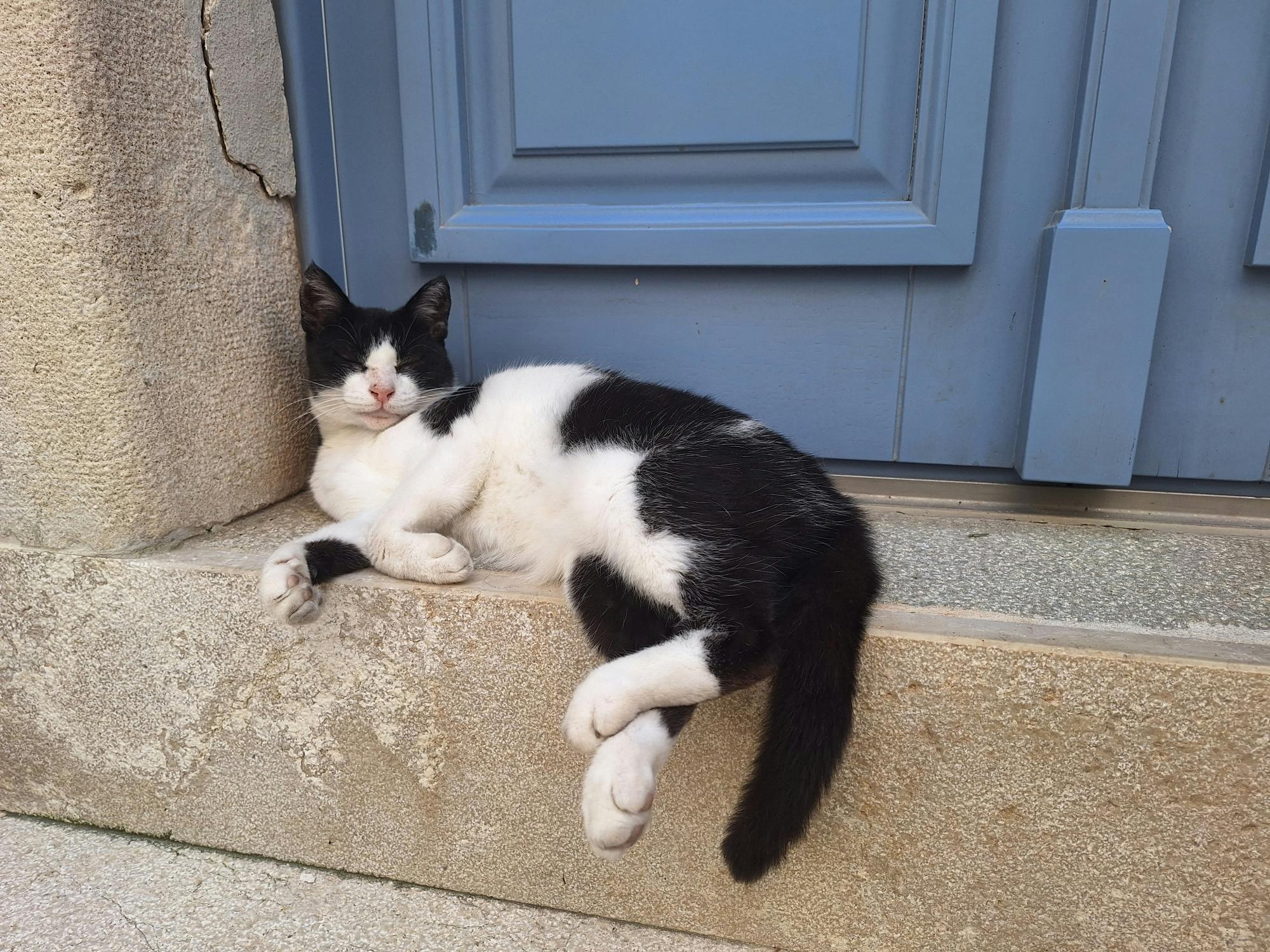 Cats of Cres walking tour of the Old Town and hidden heritage