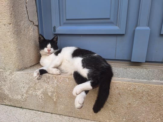 Cats of Cres walking tour of the Old Town and hidden heritage