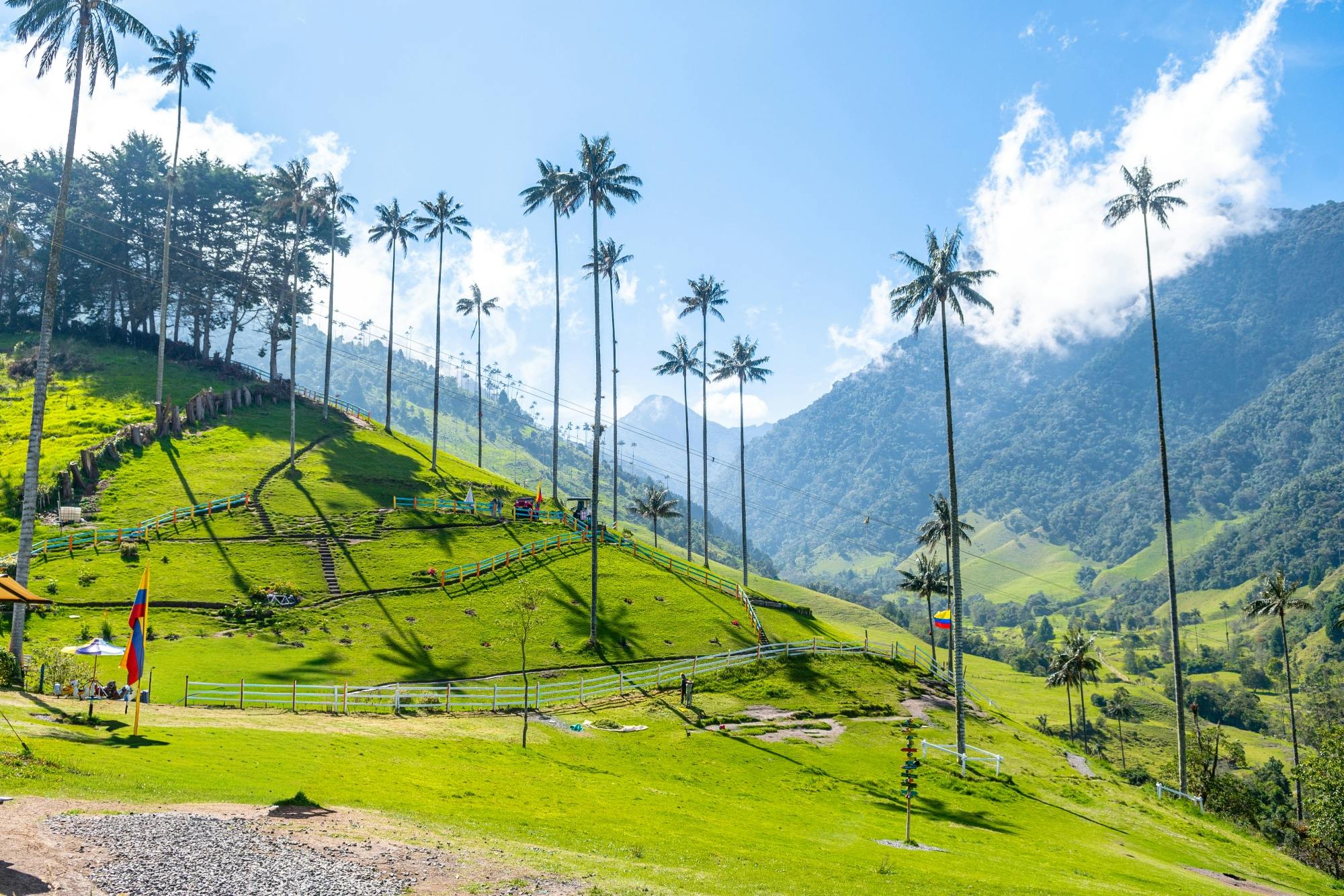 Filandia, Salento and Cocora Valley tour from Pereira
