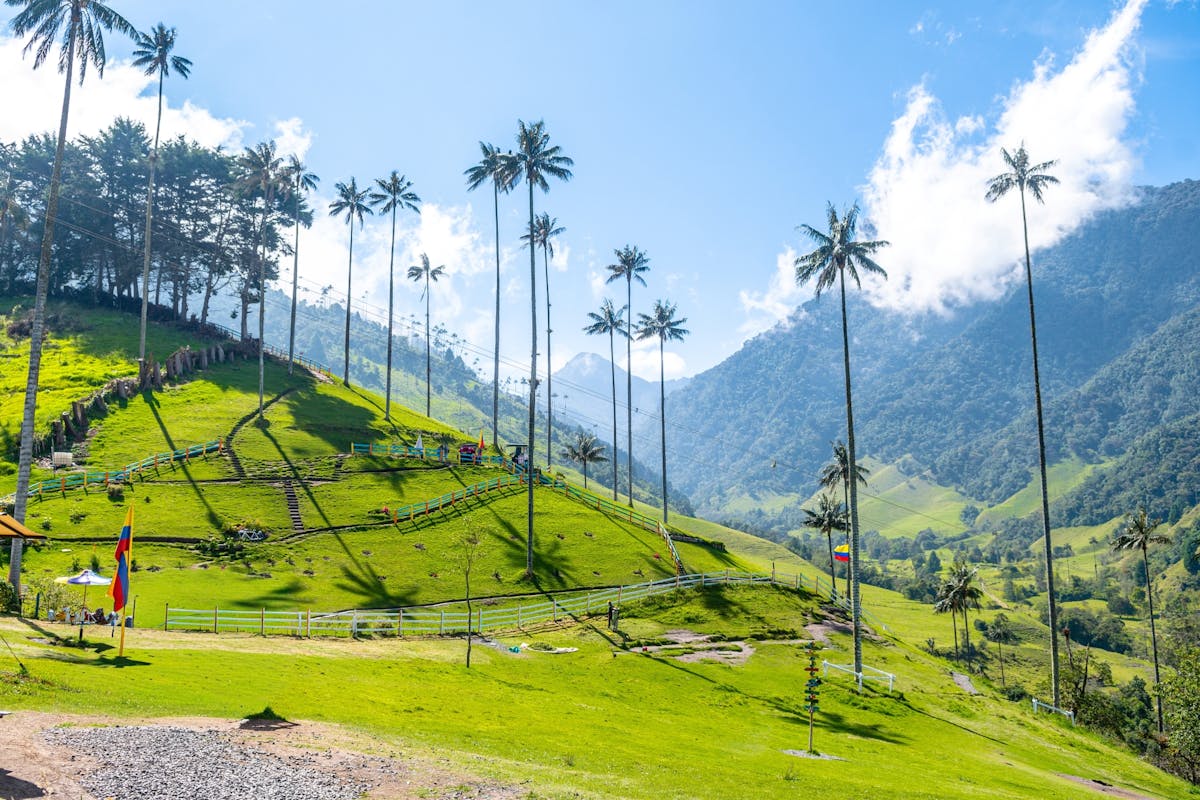Filandia, Salento en Cocora Valley Tour vanuit Pereira