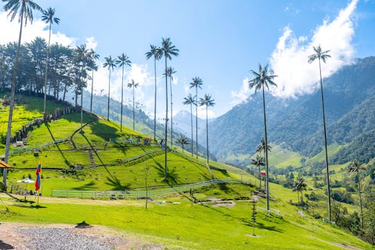 Filandia, Salento and Cocora Valley tour from Pereira