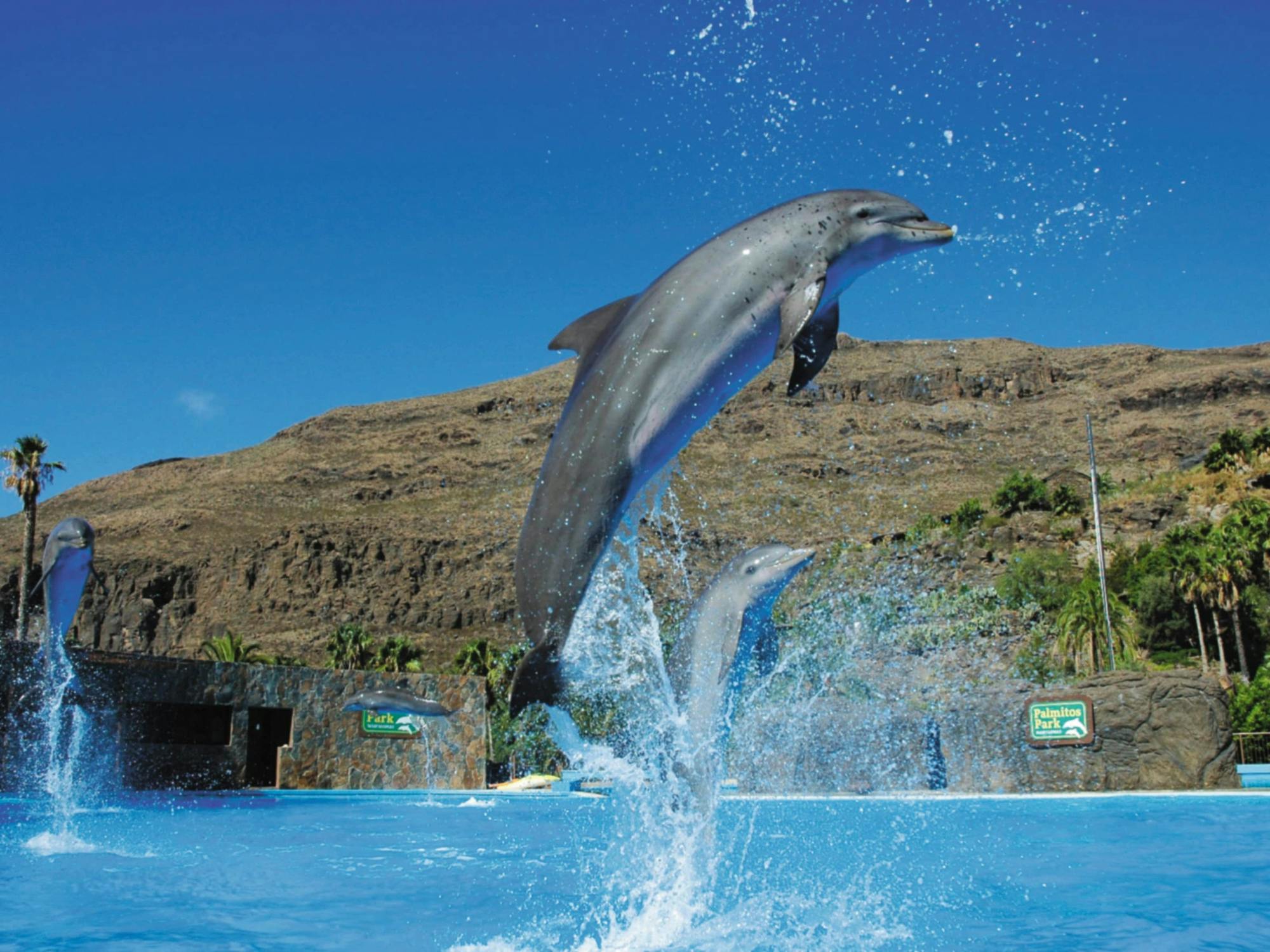 Aqualand and Palmitos Park transfer package
