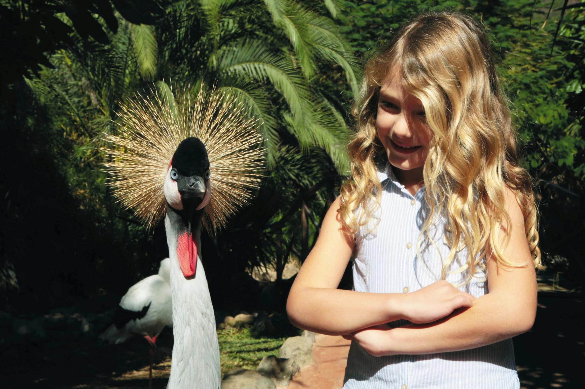 Aqualand and Palmitos Park transfer package