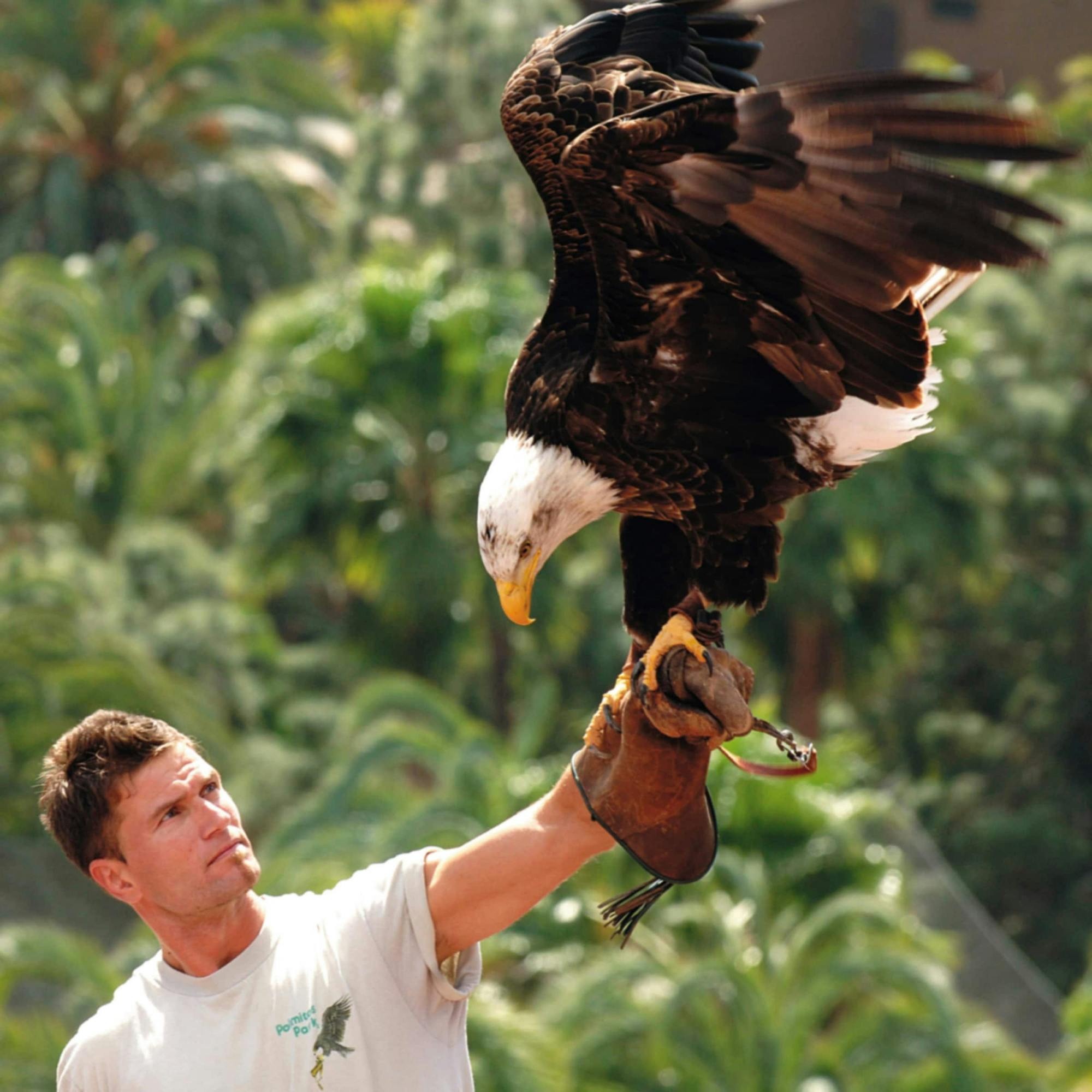 Aqualand and Palmitos Park transfer package