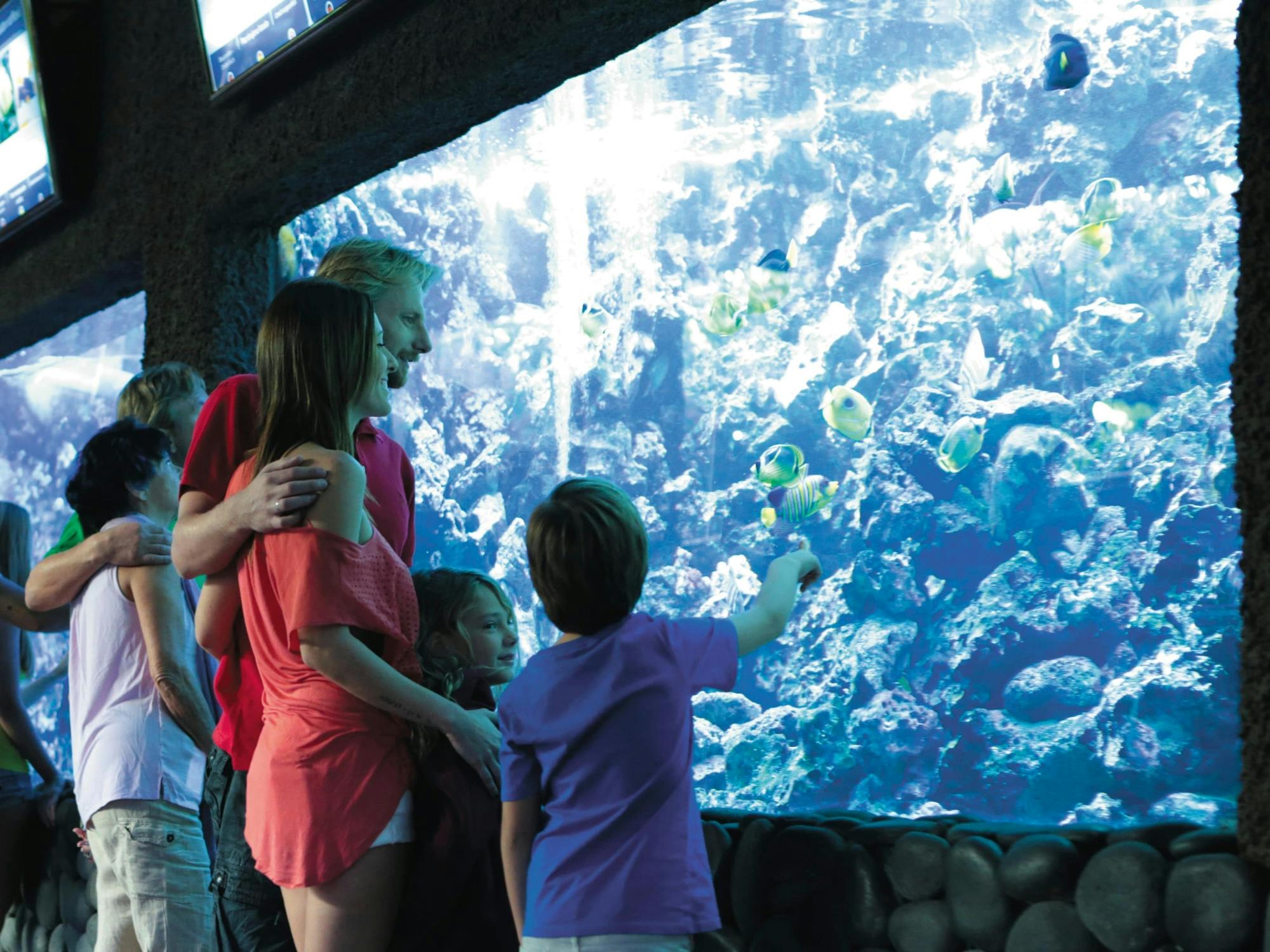 Aqualand and Palmitos Park transfer package