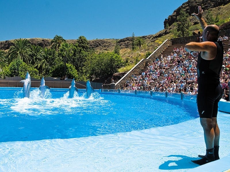 Aqualand and Palmitos Park transfer package