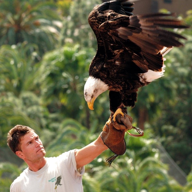 Aqualand and Palmitos Park transfer package