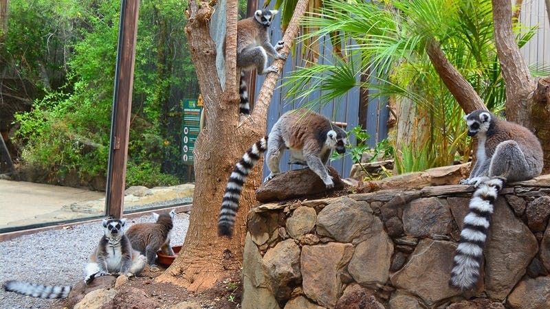 Aqualand and Palmitos Park transfer package
