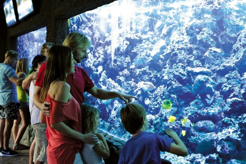Aqualand and Palmitos Park transfer package