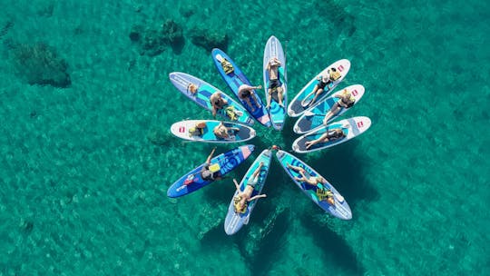 Expérience de SUP en petit groupe sur la côte, avec découverte de grottes marines et plongée libre