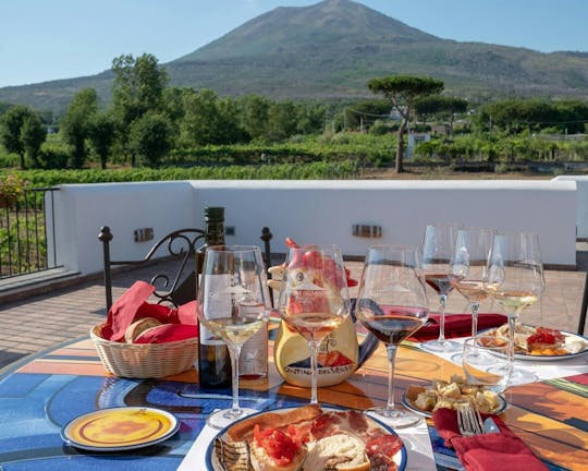 Visita às vinhas do Vesúvio com degustação de vinhos e almoço típico