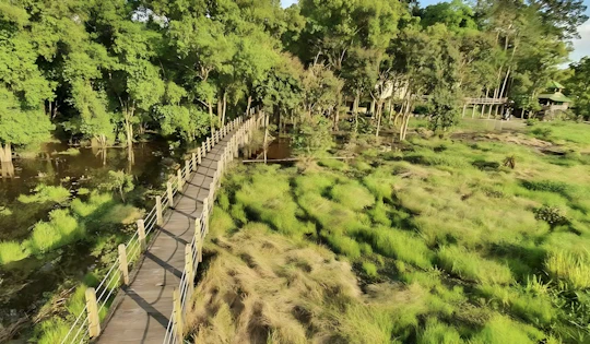 Nam Cat Tien National Park guided tour from Ho Chi Minh City