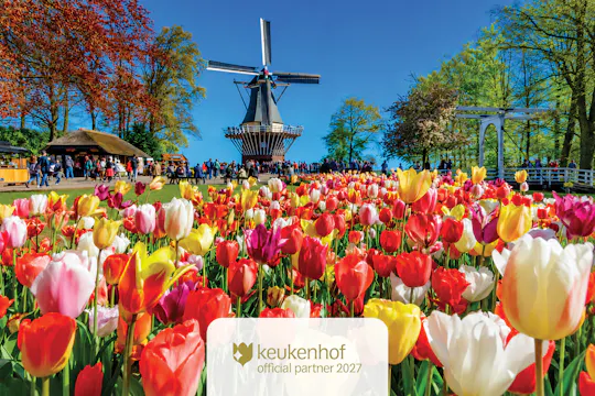 Round trip transfer and entrance to Keukenhof Gardens