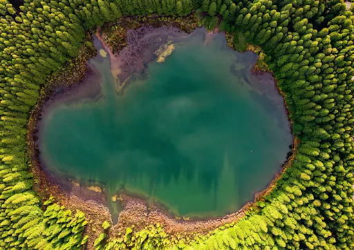 202606306a43c5d3aa12d.png