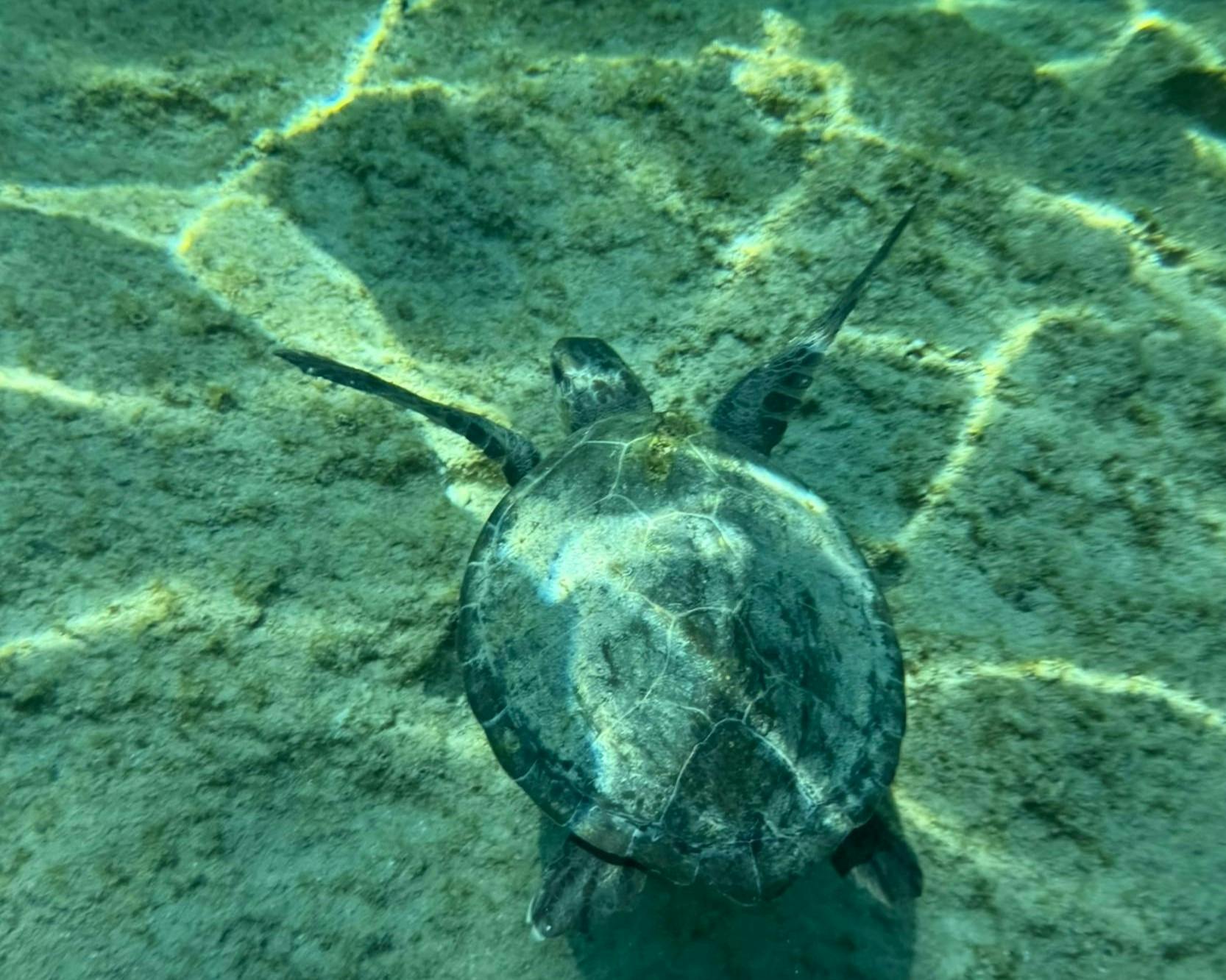 Crociera privata di 3 ore alla Grotta di Lindos con snorkeling
