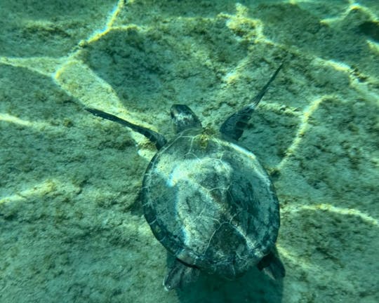 Crociera privata di 3 ore alla Grotta di Lindos con snorkeling