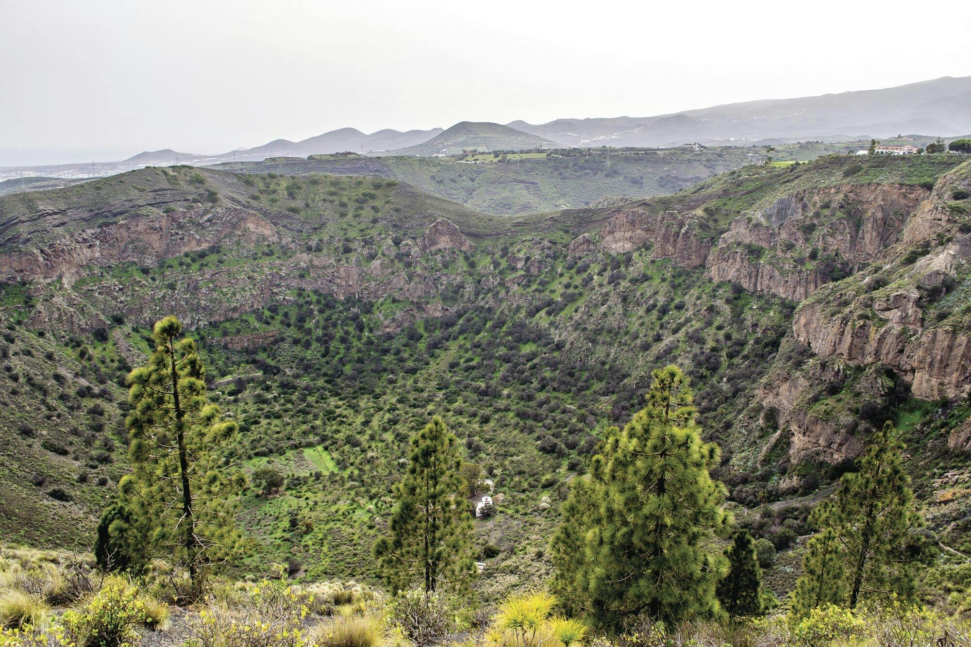 Markets of Gran Canaria tour