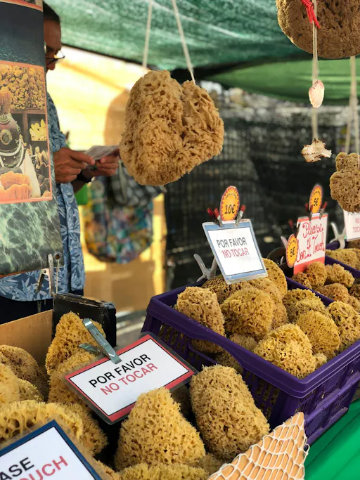 Markets of Gran Canaria tour