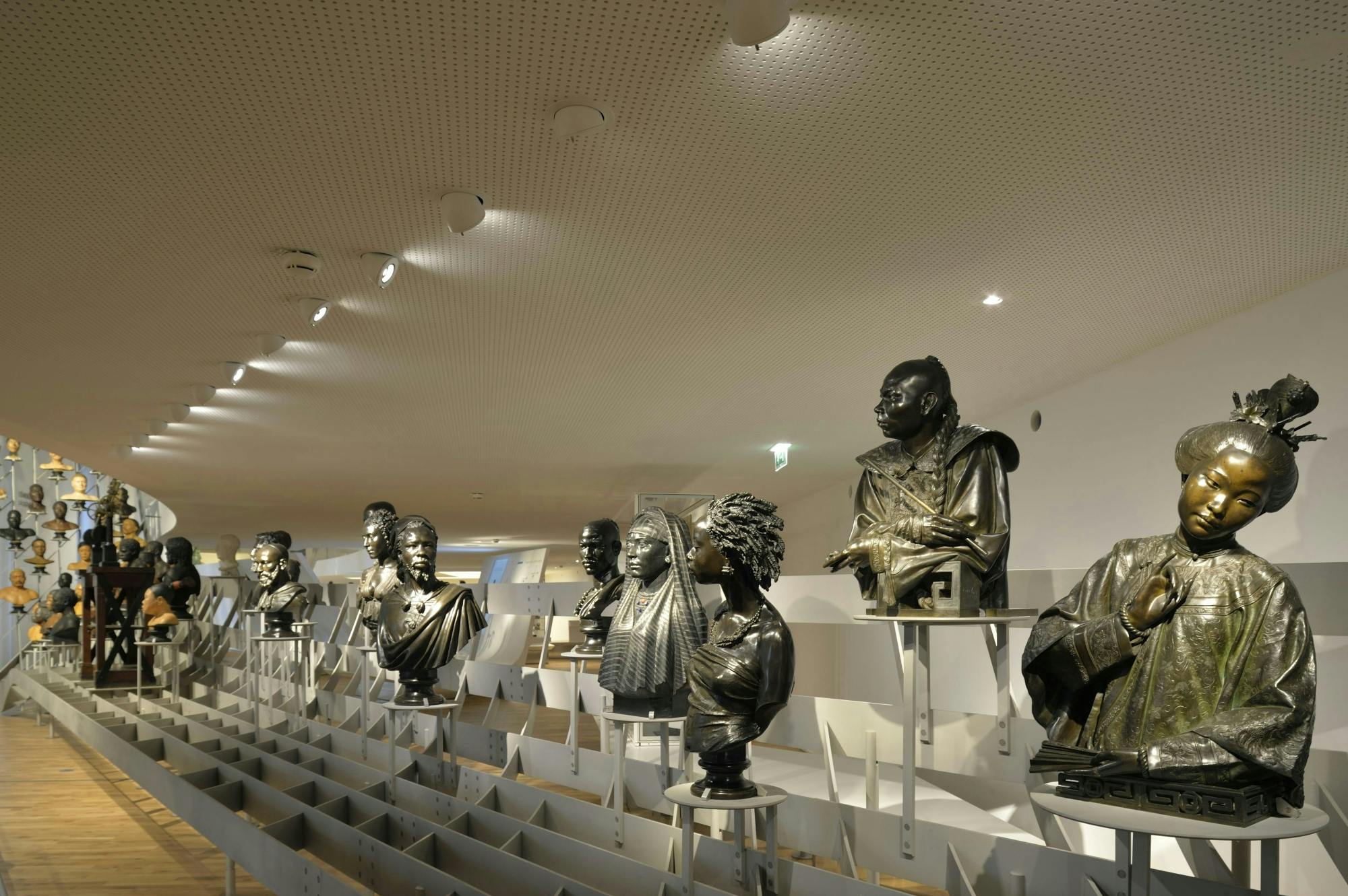 musee de lhomme.jpeg