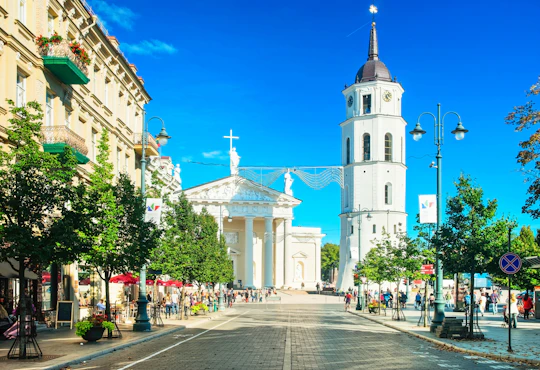 Crypts of Vilnius Cathedral guided tour with eSIM