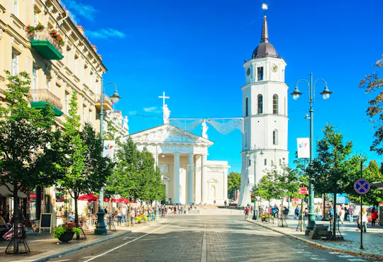 Crypts of Vilnius Cathedral guided tour with eSIM
