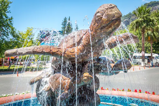 Dalyan riverboat tour with market and Turtle Beach visit