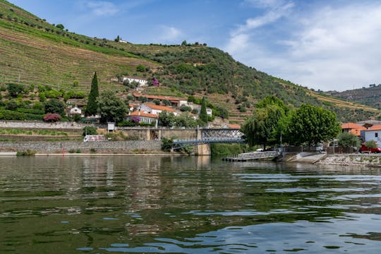 The essence of Douro and a 50-minute river cruise with views