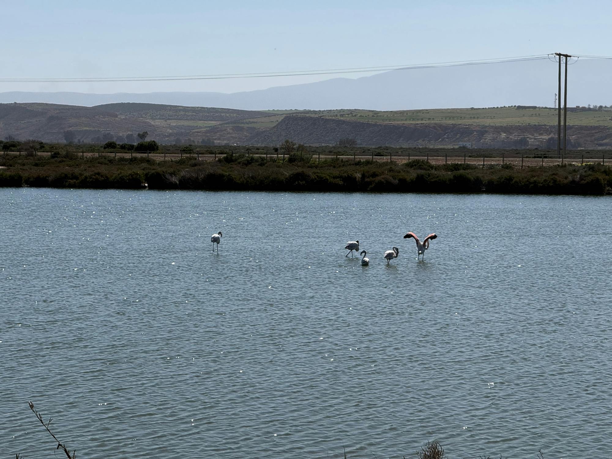 Half-day Mount Gourougou and Nador Coast tour