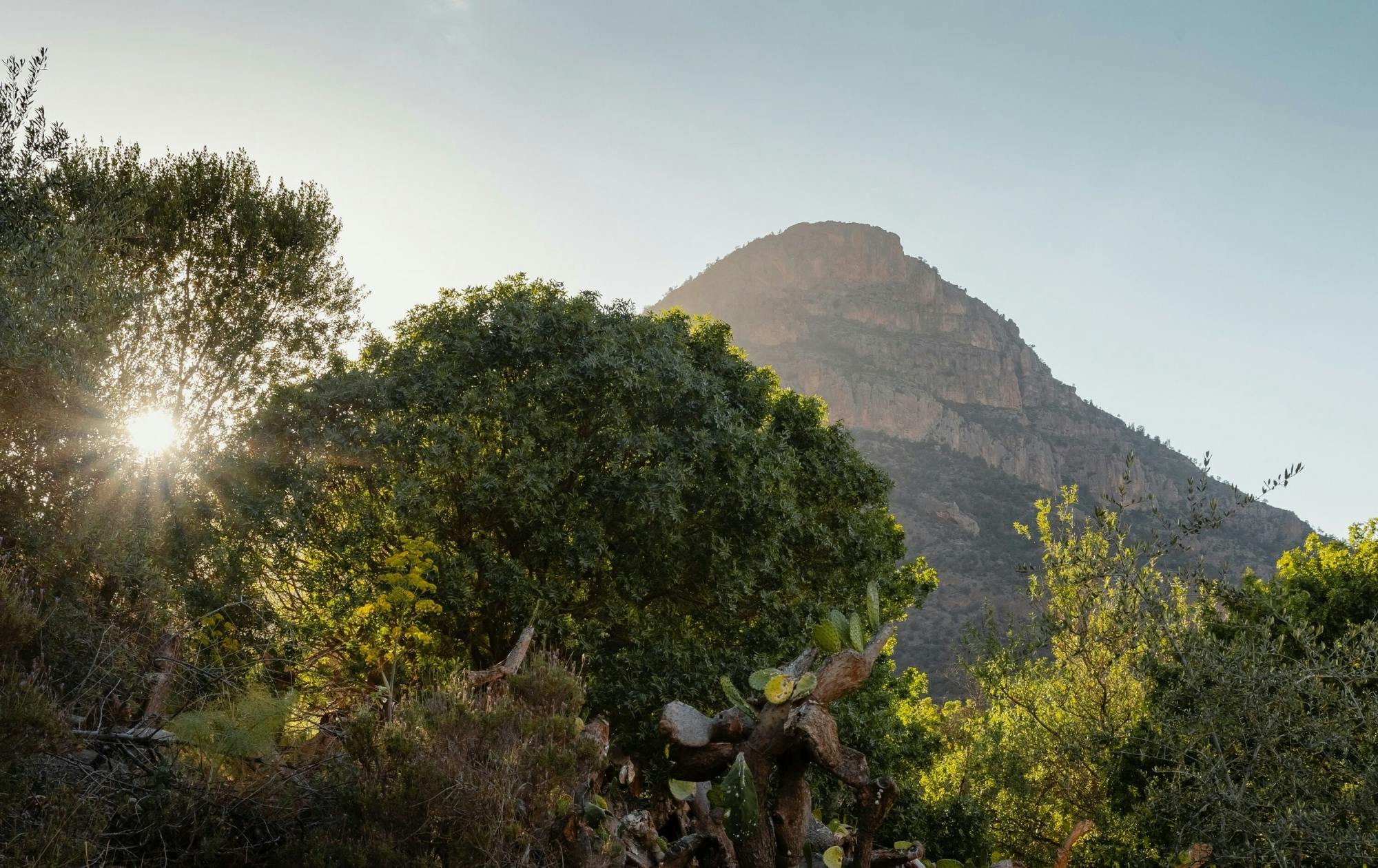 Full-day 4x4 adventure through the Beni Snassen Mountains and Zegzel Oasis