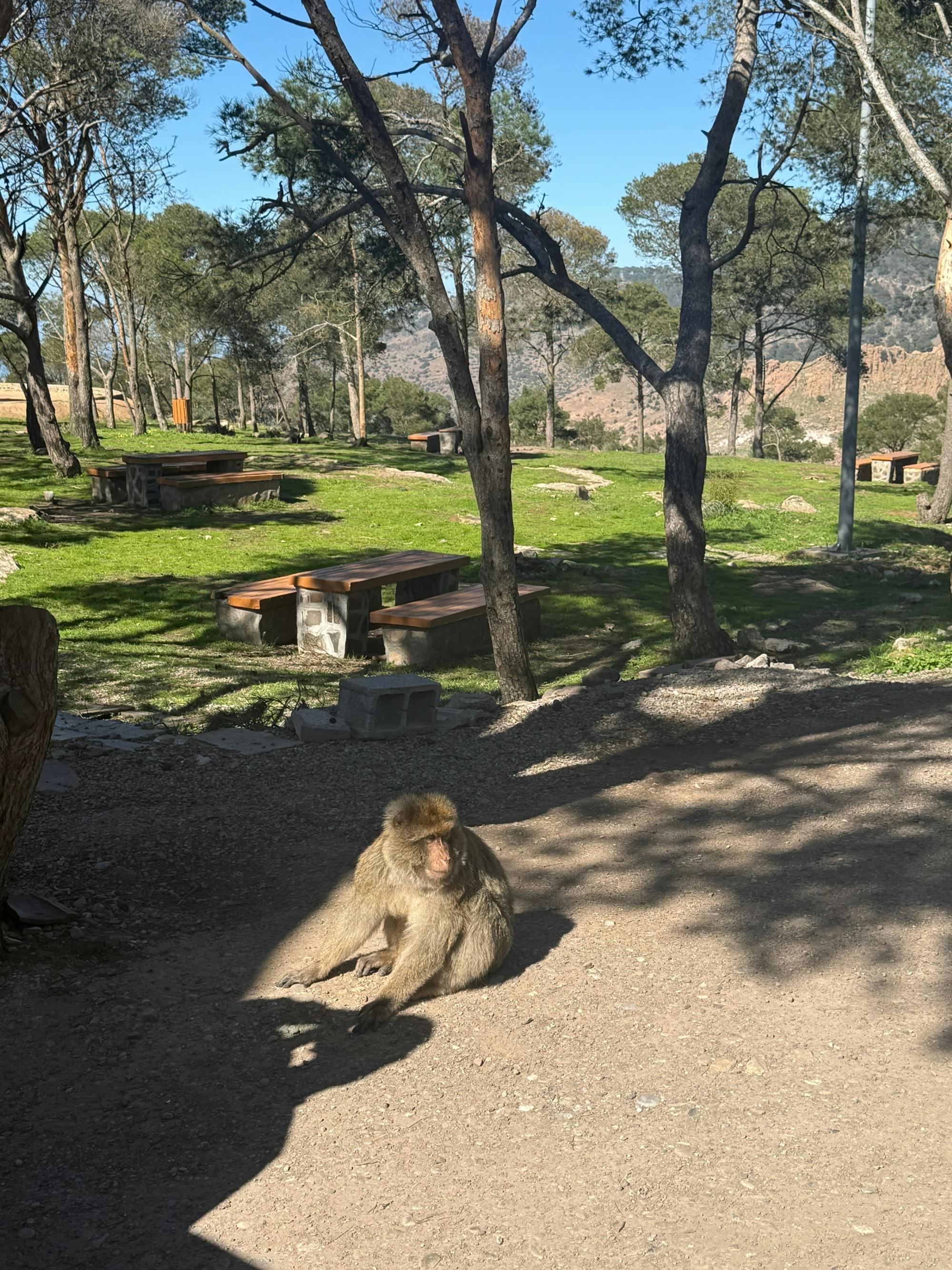 Half-day Mount Gourougou and Nador Coast tour